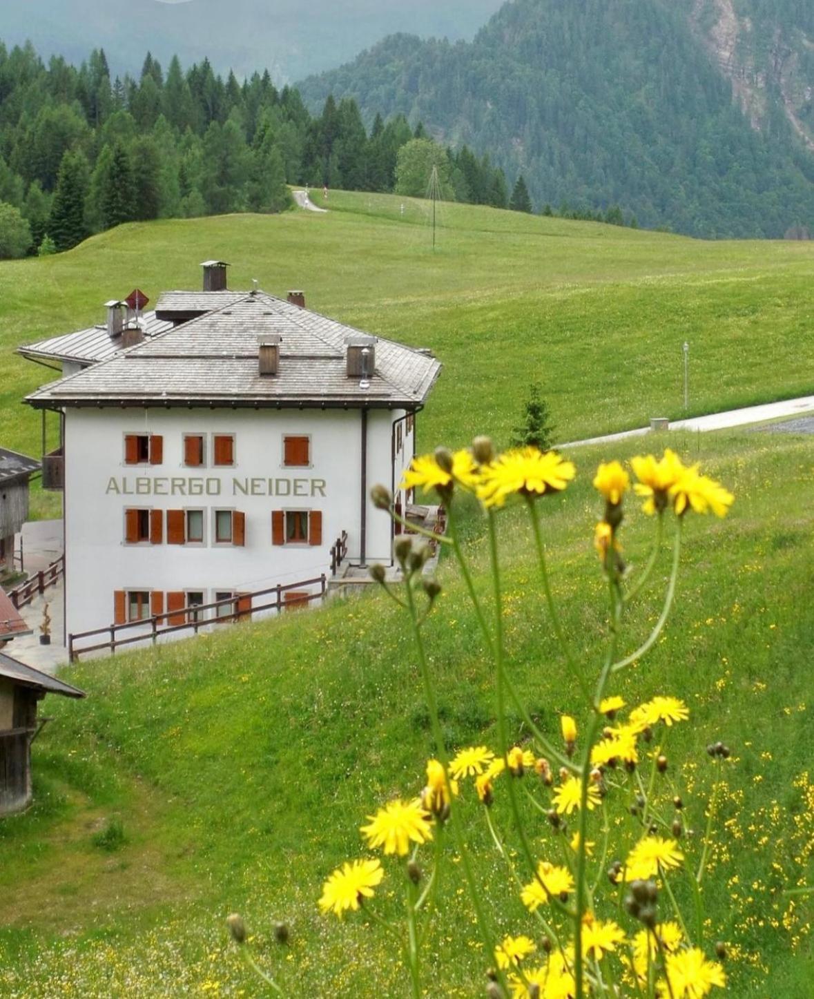 Neider Hotel - Alpine Retreat Sauris Exterior foto